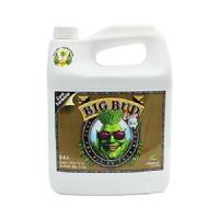 Adv Nutrients - Big Bud Coco 250ml