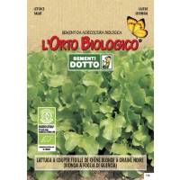 Semi Biologici di Lattuga Quattro Stagioni