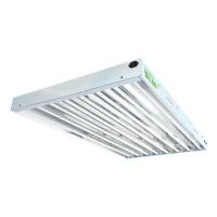 EnviroGro by LUMii (122cm) T5 spina EU - 8 lampade