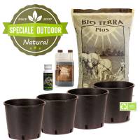 Speciale Outdoor: Kit Autofiorenti Bio (4 piante)