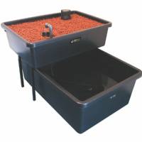 Sistema Acquaponico - FishPlant Family Unit