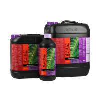 Atami B'cuzz COCO A+B 2x10L