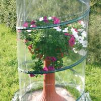 Verdemax - Serra Pop-up Anthurium cm 70xh110