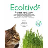 Nepeta Cataria (Erba Gatta) - Ecoltivo