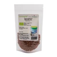 Germogliamo - semi per germogli Bio - Ravanello Rosa