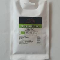 Germogliamo - semi per germogli Bio - Cavolo Rosso