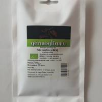 Germogliamo - semi per germogli Bio - Erba Medica