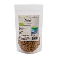 Germogliamo - semi per germogli Bio - Fieno Greco