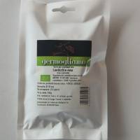 Germogliamo - semi per germogli Bio - Lenticchia Rosa