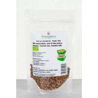 Germogliamo - semi per germogli Bio - Mix Antiossidante