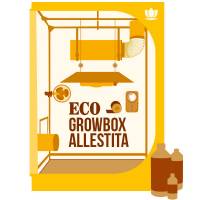 ECO Grow Box Allestita 250W AGRO + OMAGGIO