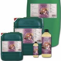House & Garden - Nitrogen Boost 1L