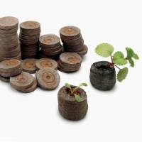 Mini Jiffy 3cm Dischetti di Torba - scatola 2000pz