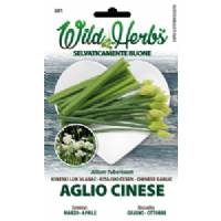 Semi Dotto Aglio cinese