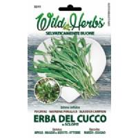 Wild Herbs - Semi Erba del Cucco - Sem. Dotto