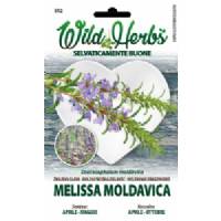 Semi Dotto Melissa Moldavica