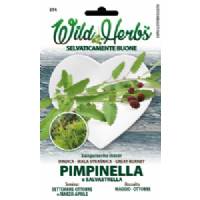 Semi Dotto Pimpinella