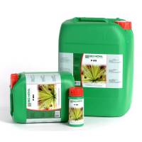 Bionova - P 20% Fosforo 1L