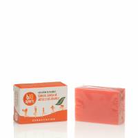 Bio Sapone Concentrato Canapa, Arnica e Artiglio del Diavolo - Verdesativa