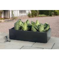 Grow Bed - Mini