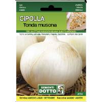 Sementi da Orto - Cipolla Tonda Musona - Sem. Dotto