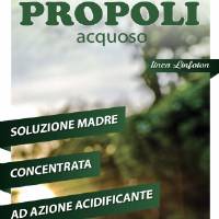 Idroluppolo - Propoli acquosa per Idroponica - 1L
