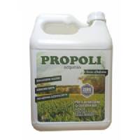 Idroluppolo - Propoli acquosa per Idroponica - 5L