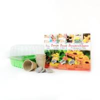 Kit Erbe Medicinali - semi + jiffy + vasi + serra germinazione