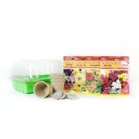 Kit Fiori Edibili - semi + jiffy + vasi + serra germinazione