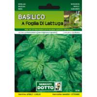 Sementi da Orto - Basilico a foglia di lattuga - Sem. Dotto