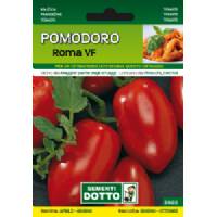 Sementi da Orto - Pomodoro Roma VF - Sem. Dotto