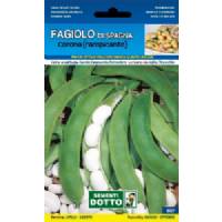 Sementi da Orto - Fagiolo di Spagna Corona rampicante