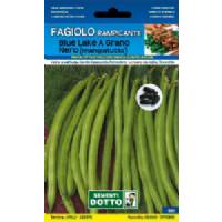 Sementi da Orto - Fagiolino Blue Lake a grano nero rampicante