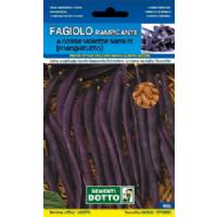Sementi da Orto - Fagiolino Trionfo violetto rampicante