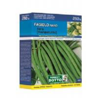 Sementi da Orto - Fagiolino nano Xera