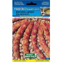Sementi da Orto - Fagiolo Borlotto Lamon rampicante