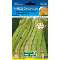 Sementi da Orto - Fagiolino Marconi a grano bianco rampicante 250g - Sem. Dotto