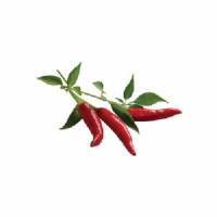 Click and Grow - Kit Semi - 3x Peperoncino