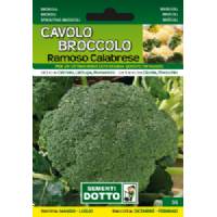 Sementi da Orto - Cavolo Broccolo Ramoso Calabrese - Sem. Dotto