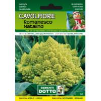 Sementi da Orto - Cavolfiore Romanesco Natalino - Sem. Dotto