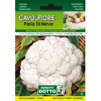 Sementi da Orto - Cavolfiore Palla di neve - Sem. Dotto