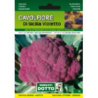 Sementi da Orto - Cavolfiore Di Sicilia violetto - Sem. Dotto