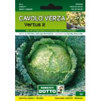 Sementi da Orto - Cavolo Verza Vertus 2 - Sem. Dotto