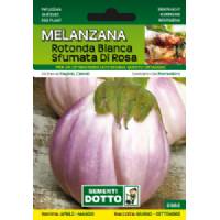 Sementi da Orto - Melanzana Rotonda Bianca Sfumata - Sem. Dotto