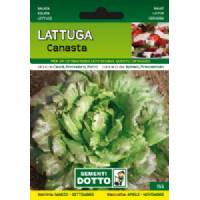Sementi da Orto - Lattuga Canasta - Sem. Dotto