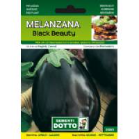 Sementi da Orto - Melanzana Black Beauty - Sem. Dotto