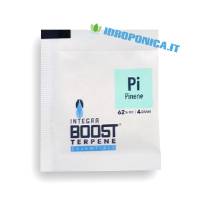 Integra Boost - Terpene gusto Pinene 4gr 62%