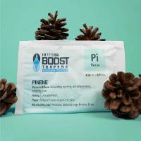Integra Boost - Terpene gusto Pinene 67g 62%