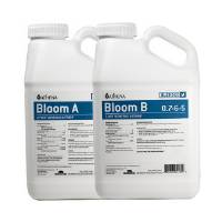 Athena - Bloom A + B - 2x3,78L