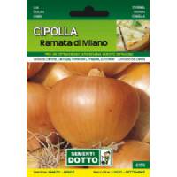 Sementi da Orto - Cipolla Ramata di Milano - Sem. Dotto
